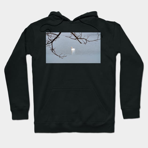 Mute Swan In The Distance Hoodie by BackyardBirder